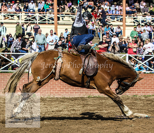 Cooma2_0078