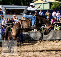 Cooma2_0085