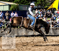Cooma2_0087