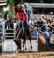Cooma2_0099