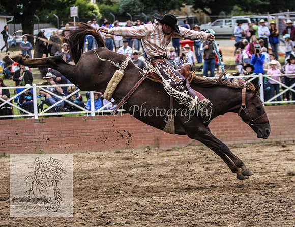Cooma2_0337