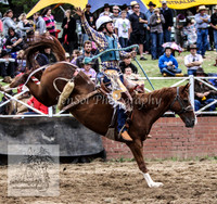 Cooma2_0342