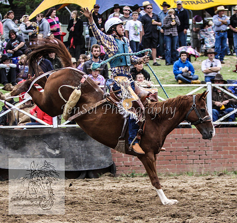 Cooma2_0342