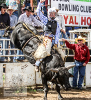 Cooma1_0814