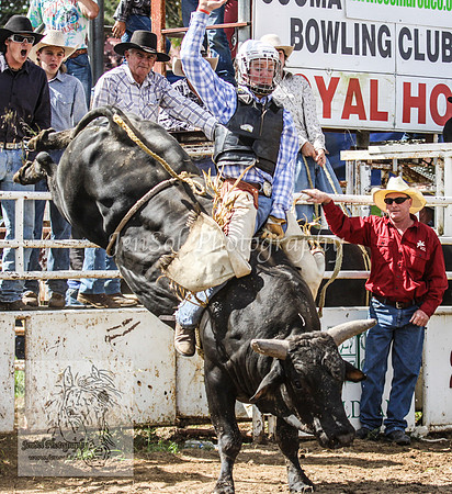 Cooma1_0814