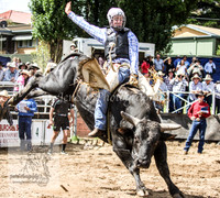 Cooma1_0824