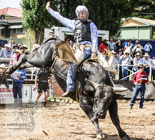 Cooma1_0824
