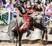 Cooma1_0851