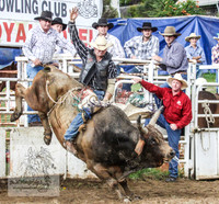 Cooma1_1004