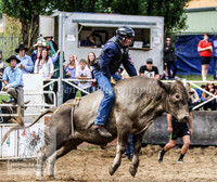 Cooma2_0155