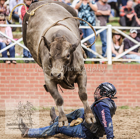 Cooma2_0158