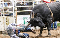 Cooma2_0201