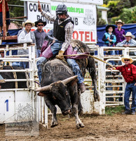 Cooma2_0187