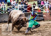Cooma2_0220