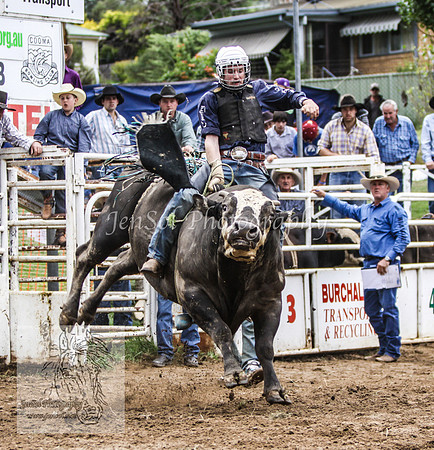 Cooma2_0252