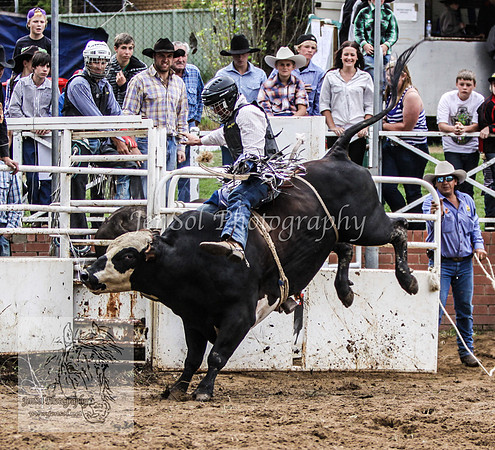 Cooma2_0268
