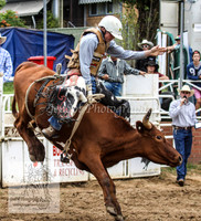 Cooma1_0432