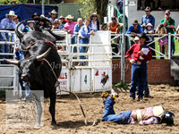 Cooma1_0577