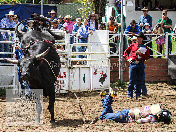 Cooma1_0577