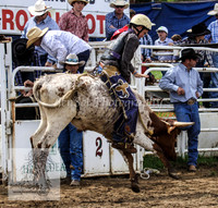 Cooma1_0570