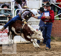 Cooma1_0908