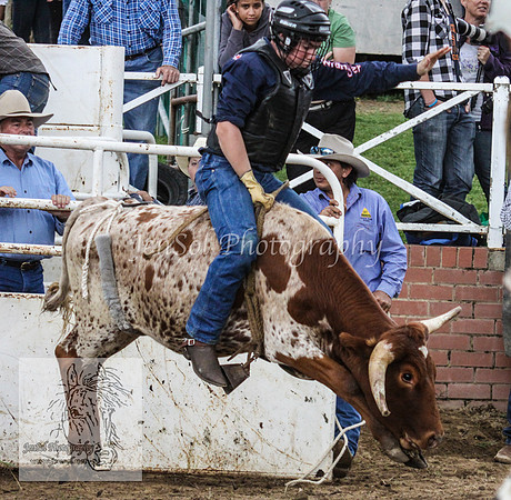 Cooma1_0987