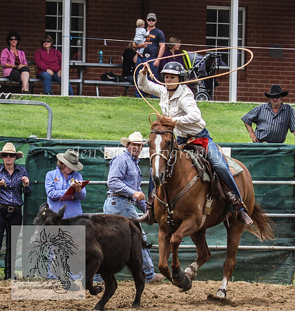 Cooma1_0326