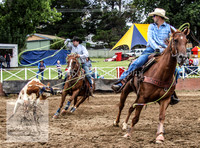 Cooma1_0341