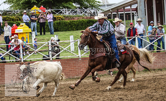 Cooma1_0342