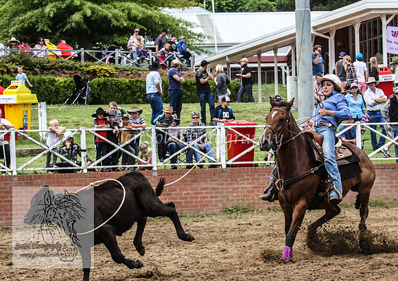 Cooma1_0483