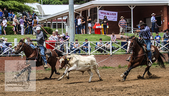 Cooma1_0506