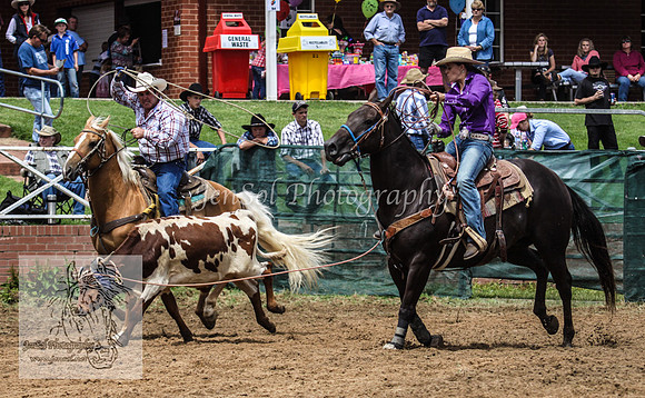 Cooma1_0519