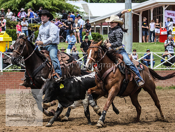 Cooma1_0537