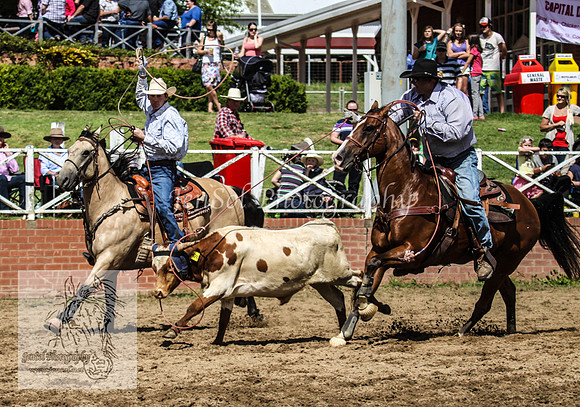 Cooma1_0793