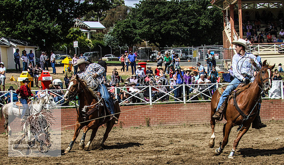 Cooma1_0803