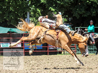TumbyOne_0423