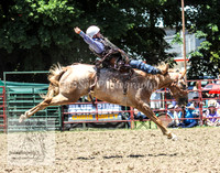 TumbyOne_0460