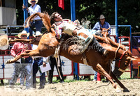 TumbyOne_0433