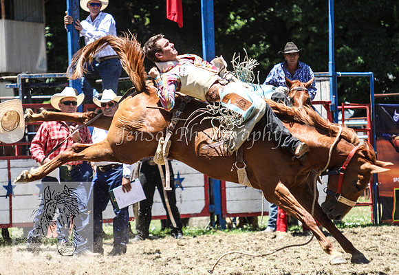 TumbyOne_0433