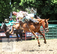 TumbyOne_0439