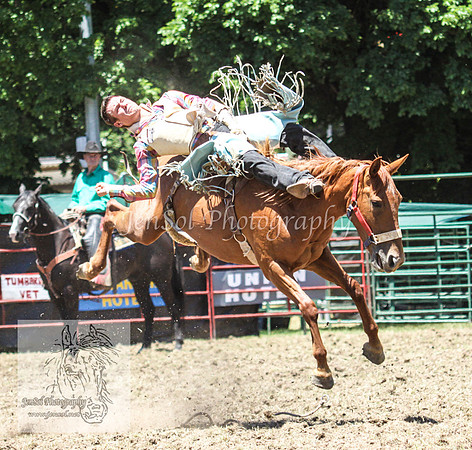 TumbyOne_0439