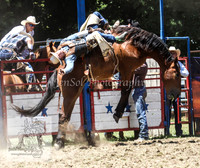 TumbyOne_0471