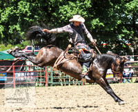 TumbyOne_0652