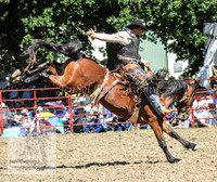 TumbyOne_0812