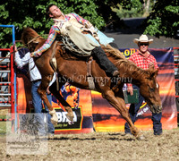 TumbyOne_0974