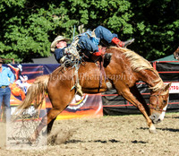 TumbyOne_1078