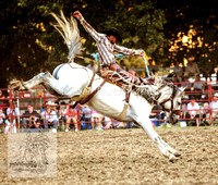Tumbarumba Rodeo 2012