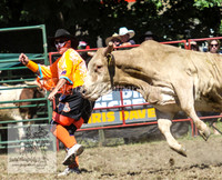 TumbyOne_0717