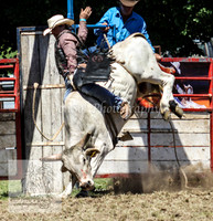 TumbyOne_0706