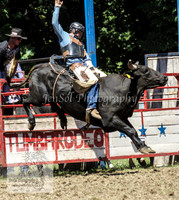 TumbyOne_0694
